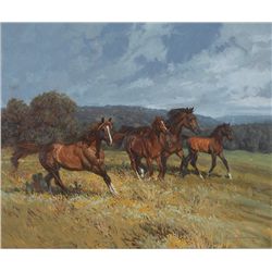 Bruce Greene-Horses