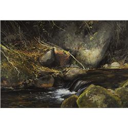 Michael Coleman-On North Fork - Trout Pool