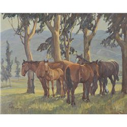 Paul Salisbury-California Pasture