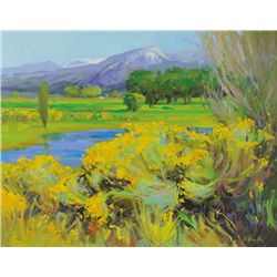 Ray Vinella-View of the Mountain