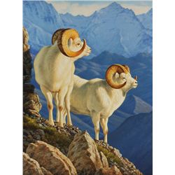 Tom Mansanarez-Alaskan Gold