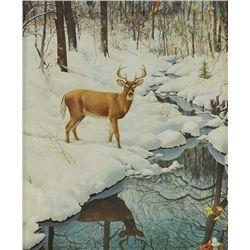 Robert Doares-Buck by the Stream in Winter