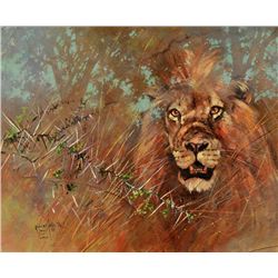 Kobus Möller-The Thicket