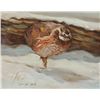 Image 1 : George Dick-Bachelor Bird