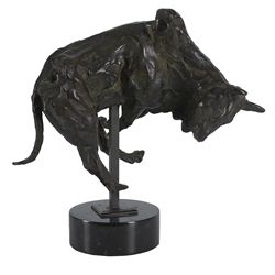 Harry Jackson-Bull Study
