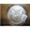 Image 2 : 1999 COLORIZED AMERICAN SILVER EAGLE