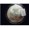 Image 2 : 1999 AMERICAN SILVER EAGLE COLORIZED
