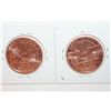Image 2 : Lot Of (2) 1 oz. Copper Coin