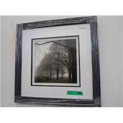 Black and White Morning by Silverman - Framed