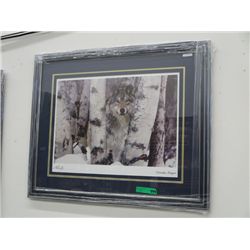 Mountain Ranger - Framed