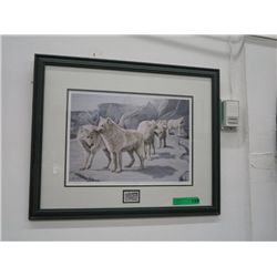 Framed wolf picture and wolf stamp