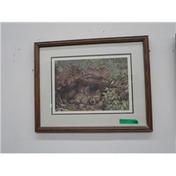 Wake up Call - Framed