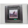 Image 1 : Natural Beauty by Russell Cobane - Framed