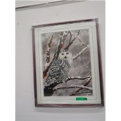 Eyes of the Spirit - Framed