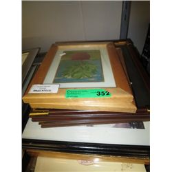 Stack of framed pictures