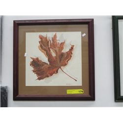 Original watercolour of a maple leaf