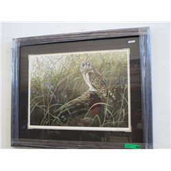 On Alert - Owl - Framed print by Don Li Leger