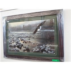 Eagle Over Water by Kevin Daniel - Framed