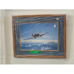 Robert Bailey airplane print