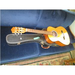 Acoustic guitar and case