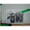 Image 1 : Clayton Moore Autograph