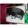 Image 1 : Jack Lemmon Autograph