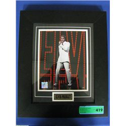 Elvis Picture 14x18