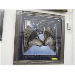 Muzzle Nuzzle framed print by Daniel Smith