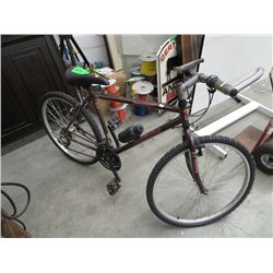21 speed bike