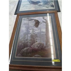 Framed picture of Eagle