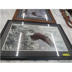 Framed picture of Eagle