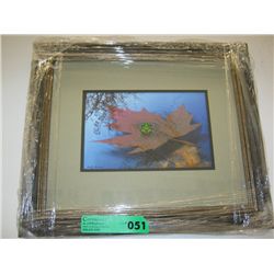Framed art card of native frog