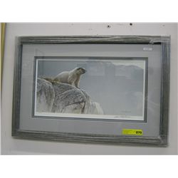 "Hoary Marmot" by Robert Bateman