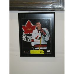 Mounted picture of hockey player