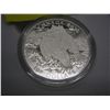Image 2 : $100.00 silver coin