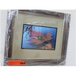 Framed art card of a native frog