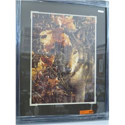 "Autumn Eyes" by Colin Bogle