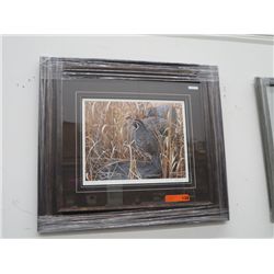 "Golden Grasses-California Quail" - Print