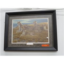 Framed print of lions