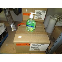 Case of 12 units of hand sanitizer