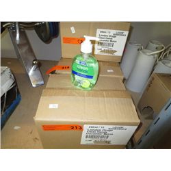 Case of 12 units of hand sanitizer