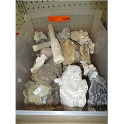 Tray of core samples, fossils, agates, etc