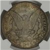 Image 3 : 1878 7 TF MORGAN DOLLAR (REV OF 78) NGC MS64
