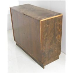 Moderne mahogany 2 door server