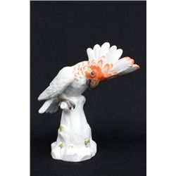 19th c. Meissen porcelain "Parrot"