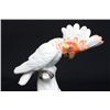 Image 2 : 19th c. Meissen porcelain "Parrot"