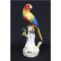 19th c. Meissen porcelain "Parrot on a Limb"