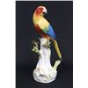 Image 1 : 19th c. Meissen porcelain "Parrot on a Limb"