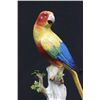 Image 2 : 19th c. Meissen porcelain "Parrot on a Limb"