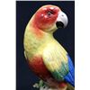 Image 3 : 19th c. Meissen porcelain "Parrot on a Limb"